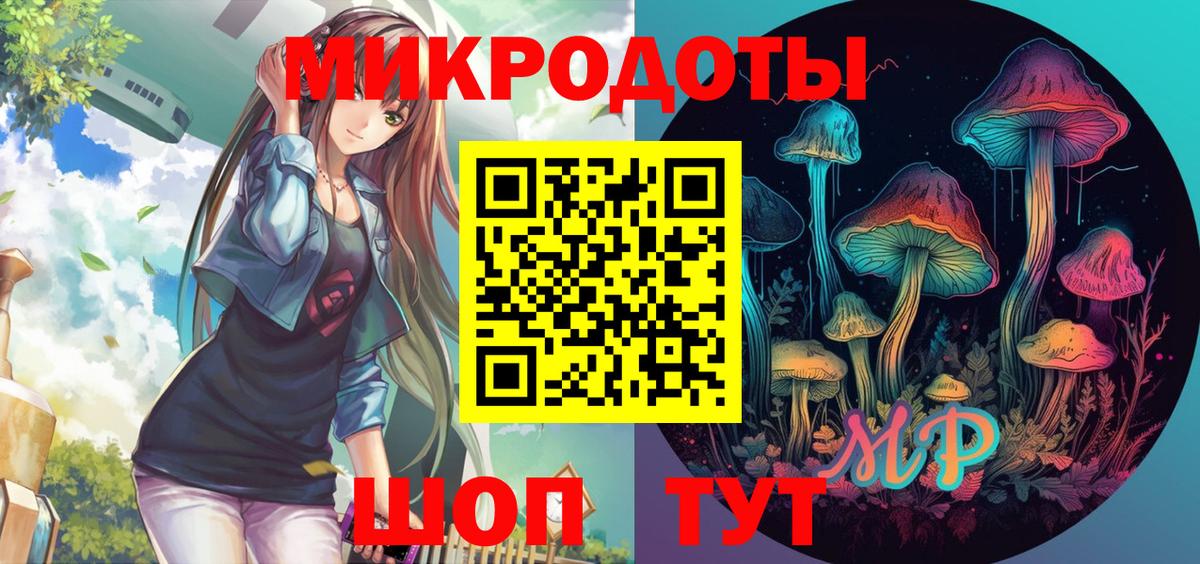 Псилоцибиновые грибы прущие грибы Великий Устюг