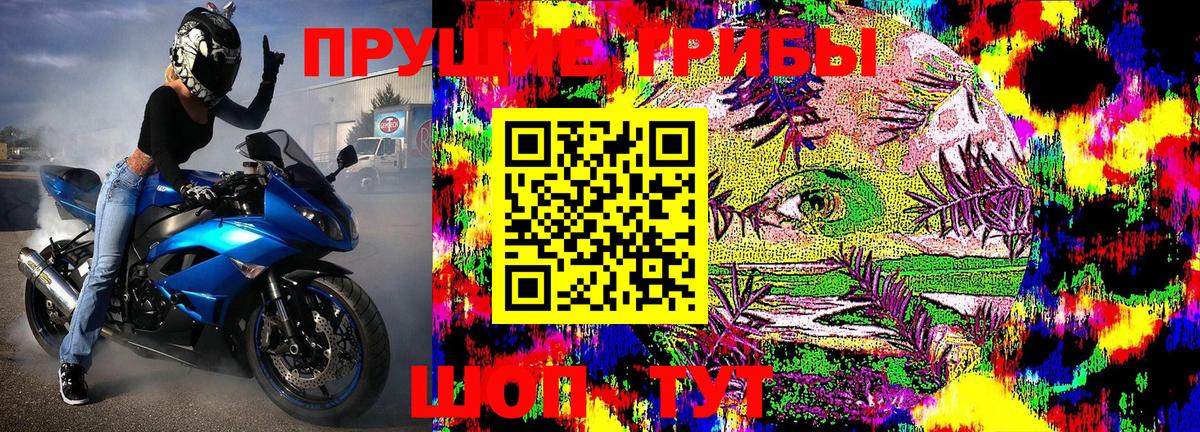 цены   Вход с VPN  Великий Устюг  Галлюциногенные грибы Cubensis 
